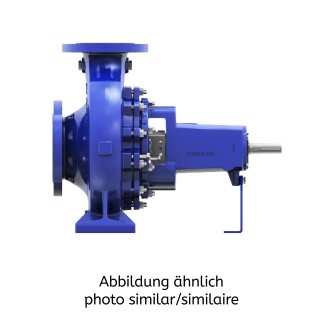 Etanorm ETN 065-050-125 GG AA06GD200552B, freies Wellenende