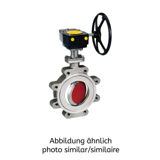 Danais MTII CL150 DN150 166Ni2B mit freiem Wellenende F07 DD19
