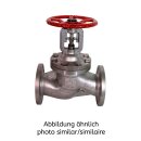 BOACHEM-ZXA DN 80 PN 10-16, Drosselkegel, 1.4408
